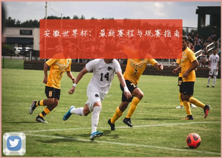 安徽世界杯：最新赛程与观赛指南
