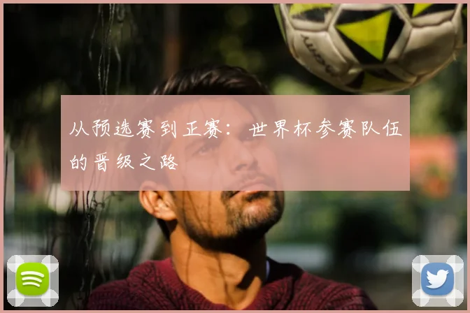 从预选赛到正赛：世界杯参赛队伍的晋级之路