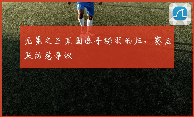 无冕之王某国选手铩羽而归,赛后采访惹争议